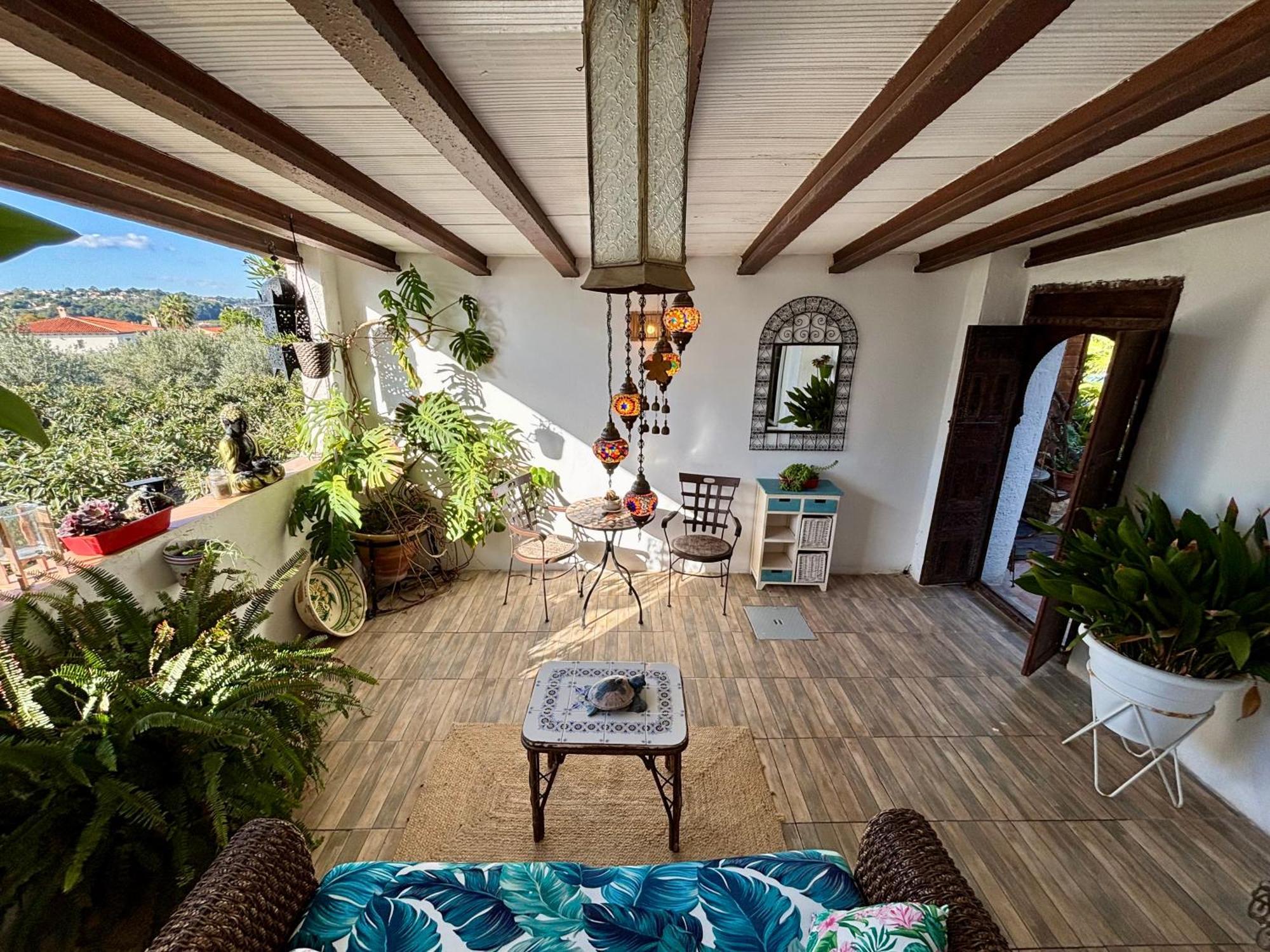 Paradise 1917 - Adults Only Altea
